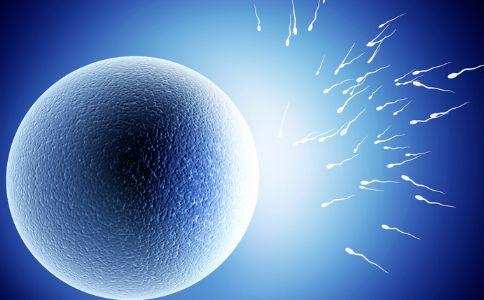 王医生